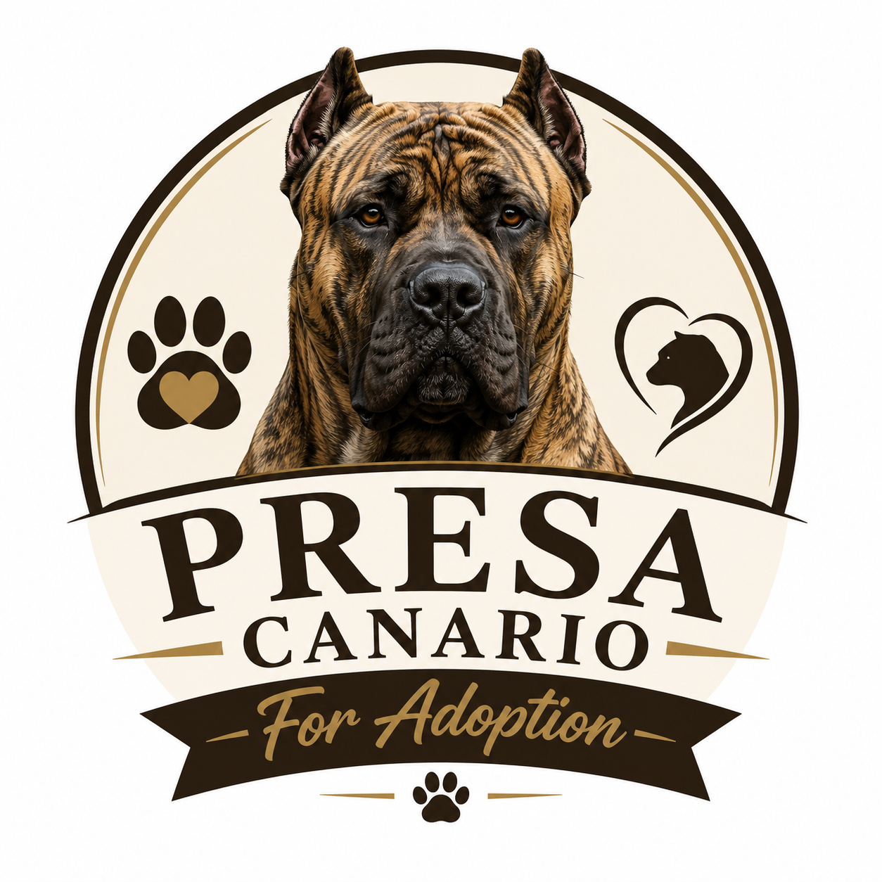 Presacanario For Adoption